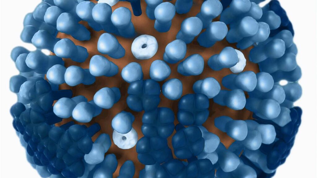 The case to rethink India’s influenza vaccination strategy