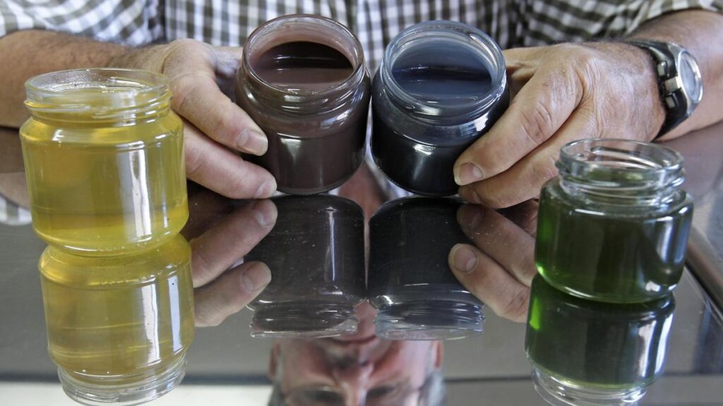 When the honey became green, blue and red! When the honey became green, blue and red!