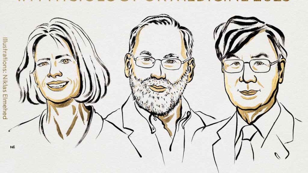 Who are the winners of the 2025 Nobel Prize in Physiology or Medicine?