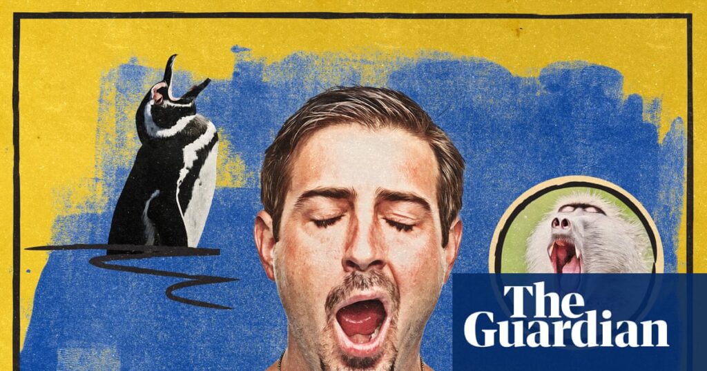 Why do we yawn? It’s almost certainly not for the reason you think | Human biology