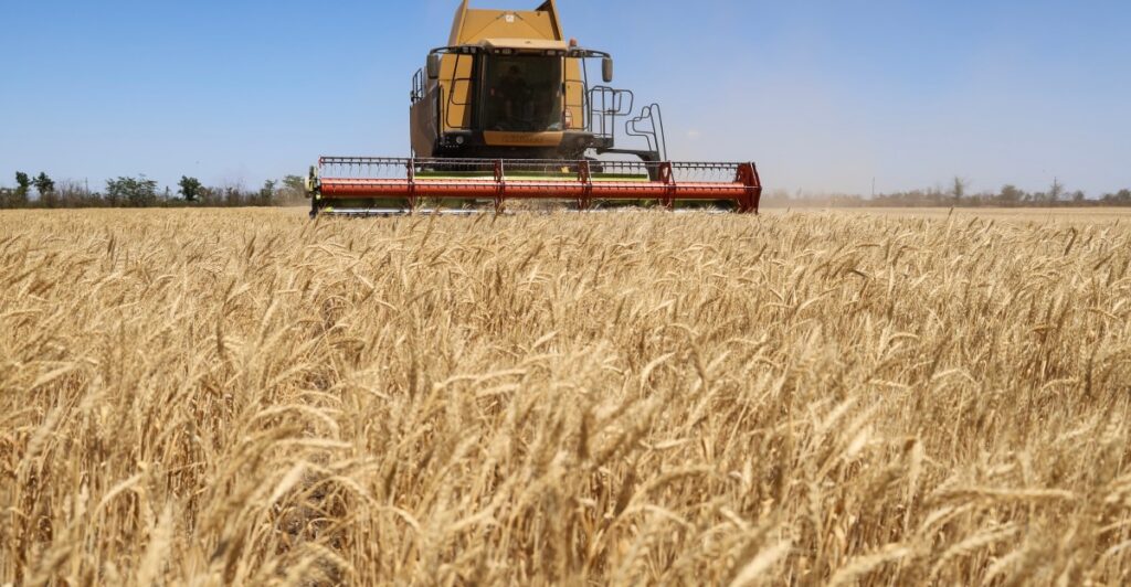 Why record harvests make famines far rarer — and what still holds us back