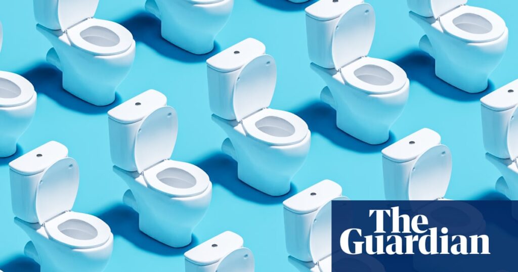 ‘Chasing the ideal gut’: Poop-tracking cameras claim to give health insights. Are they necessary? | Health & wellbeing