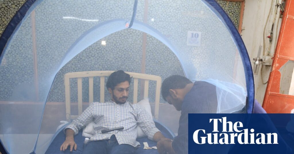 Aid cuts could set back fragile gains in eliminating neglected tropical diseases | Aid