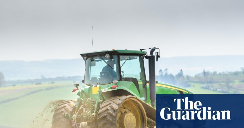 Third of British farmers made no profit in past year, report finds | Farming